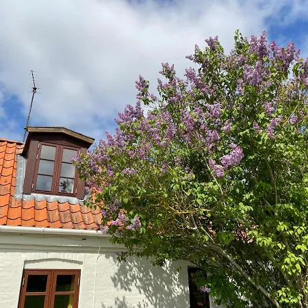 Villa A True Nature Pearl In Idyllic Surroundings But Close To The *
